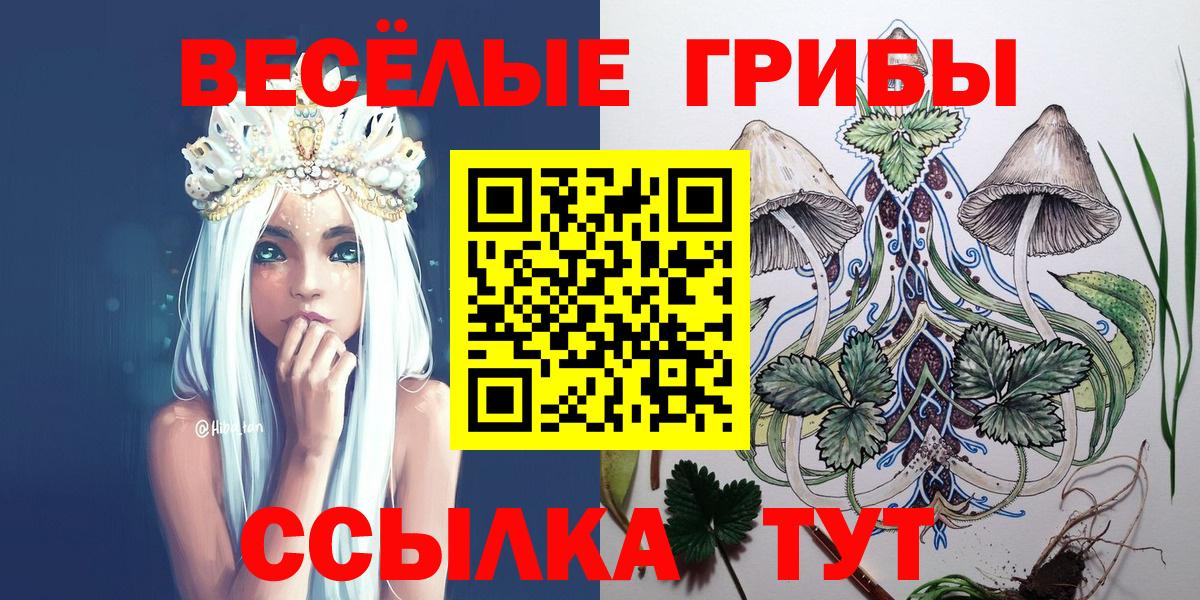 Галлюциногенные грибы мухоморы  Вход с VPN  Галлюциногенные грибы MAGIC MUSHROOMS  Тара 