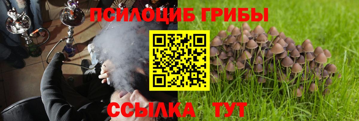 Псилоцибиновые грибы MAGIC MUSHROOMS Тара